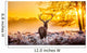 Red Deer Morning Sun Wall Decal