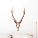 Samba Deer Skull Wall Decal
