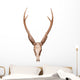 Samba Deer Skull Wall Decal