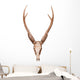 Samba Deer Skull Wall Decal