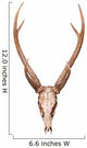 Samba Deer Skull Wall Decal