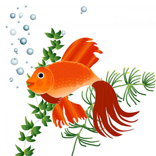 Goldfish Wall Decal Design 1
