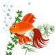 Goldfish Wall Decal Design 1