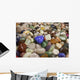 Colorful Rocks Wall Decal
