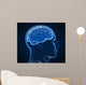 human brain x-ray Wall Mural