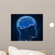 human brain x-ray Wall Mural