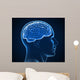 human brain x-ray Wall Mural