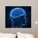 human brain x-ray Wall Mural