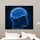 human brain x-ray Wall Mural