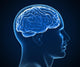 human brain x-ray Wall Mural