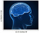 human brain x-ray Wall Mural