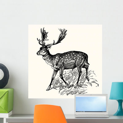 Ancient Animals Wall Decal shown on a wall