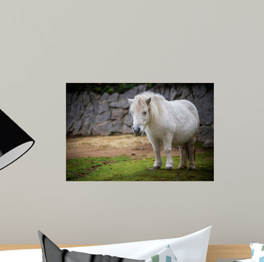 pony Wall Mural