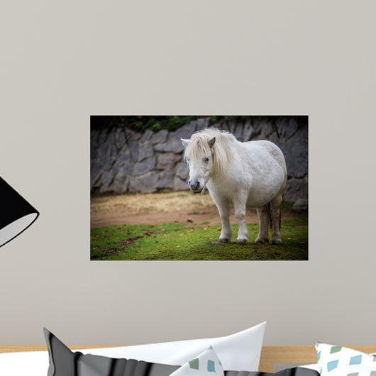 pony Wall Mural