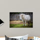 pony Wall Mural