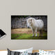 pony Wall Mural