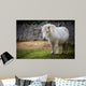 pony Wall Mural