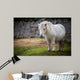 pony Wall Mural