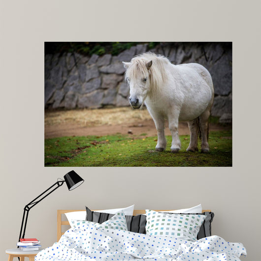 pony Wall Mural
