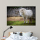 pony Wall Mural