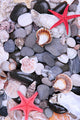 Close up of sea stones and shells Wall Mural