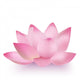 Photo-Realistic Lotus Flower 