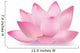Photo-Realistic Lotus Flower 