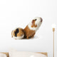 cute guinea pigs Wall Decal