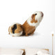 cute guinea pigs Wall Decal