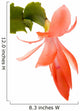 Pink Cactus Flower Wall Decal