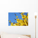 spring bloom forsythia Wall Mural