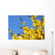 spring bloom forsythia Wall Mural