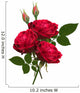 Three Red Roses Wall Decal