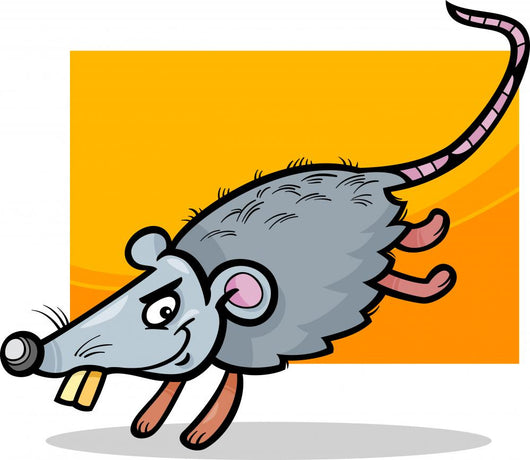 mouse or rat cartoon illustration Wall Decal