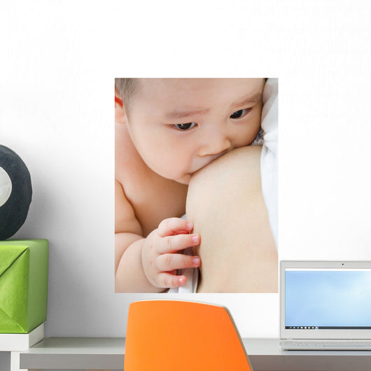 Mother breast feeding baby Wall Mural