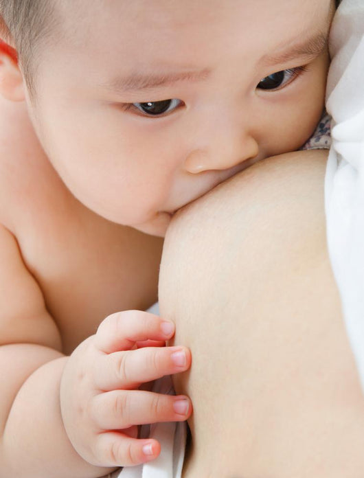 Mother breast feeding baby Wall Mural