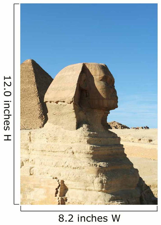 Egyptian Sphinx 