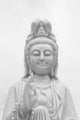 Quan Yin Wall Mural