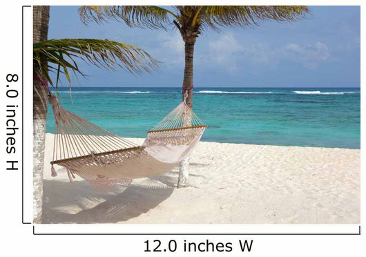 Beach With Coconut Trees 