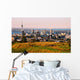 Auckland Wall Mural