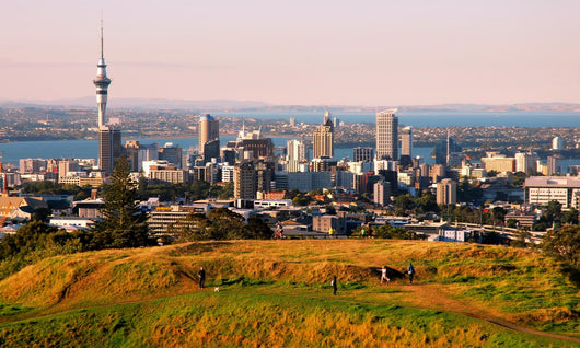 Auckland Wall Mural