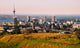 Auckland Wall Mural