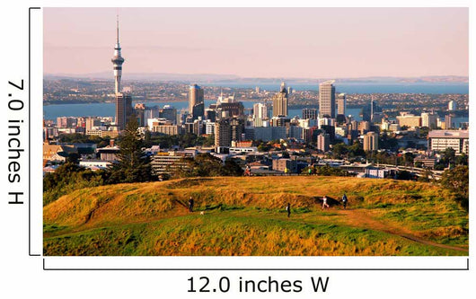 Auckland Wall Mural