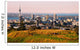 Auckland Wall Mural