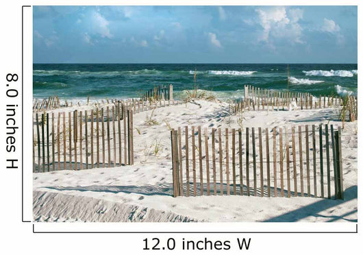 Beautiful Florida Beach with Sand Fences and Turquoise Ocean 