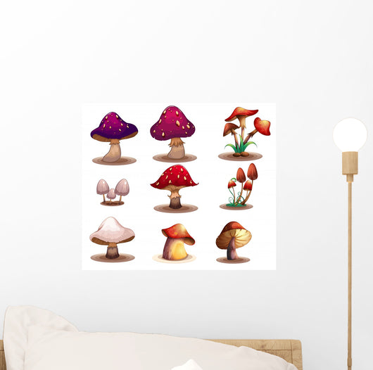 Different kinds of mushrooms 