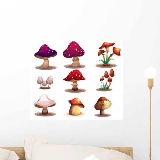 Different kinds of mushrooms 