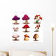 Different kinds of mushrooms 