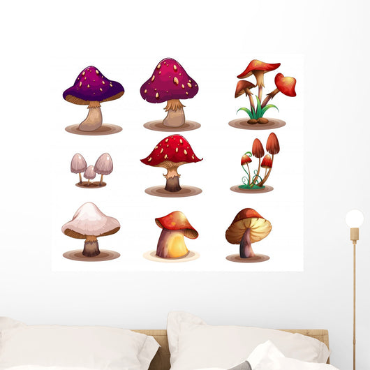 Different kinds of mushrooms 