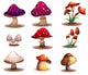 Different kinds of mushrooms 